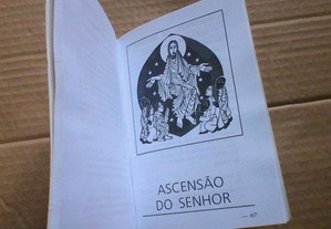 imagem_5