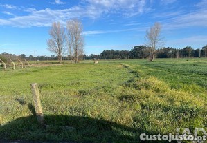 Terreno em Beduído e Veiros de 1720,00 m²