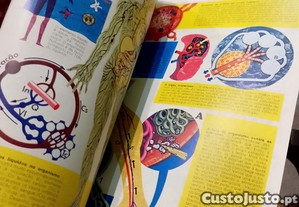 imagem_5