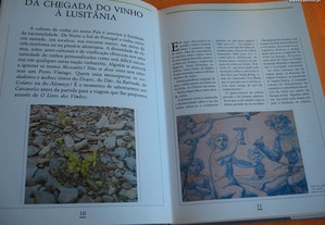 imagem_4