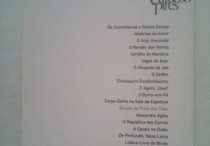 imagem_6