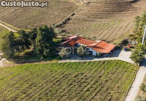 Quinta Com 14 Hectares Em Pleno Douro Vinhateiro