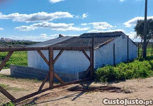 imagem_1