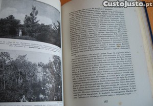 imagem_6