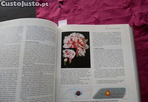 imagem_7