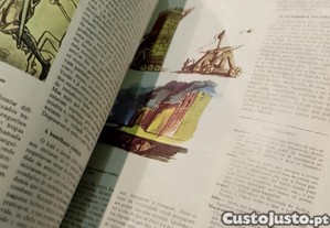 imagem_4