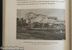 imagem_6