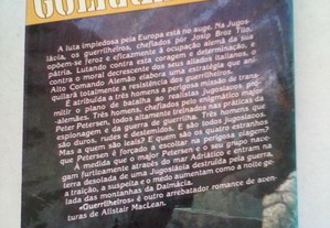 imagem_6