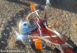 imagem_7
