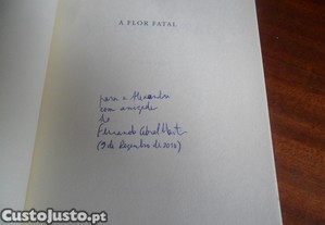 imagem_2