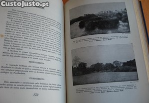 imagem_8
