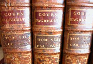 imagem_8