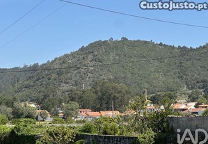 imagem_24
