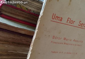 imagem_2