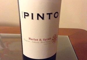 Vinho tinto Quinta do Pinto 2011