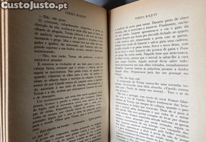 imagem_4