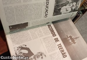 imagem_8