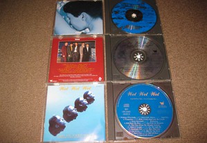 imagem_3