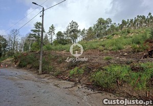 imagem_11