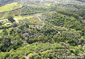 imagem_23