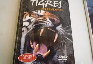 DVD com Livro Tigre Dos Pântanos