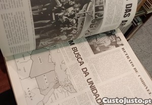 imagem_6