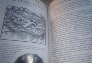 imagem_6
