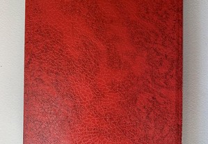 imagem_4