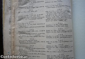 imagem_6