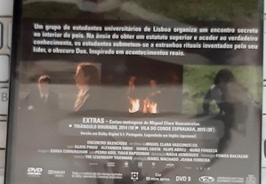 imagem_6