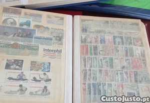 imagem_5