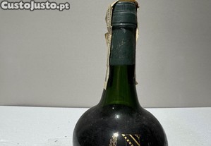 imagem_3