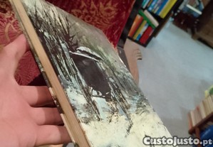 imagem_9