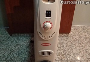 Aquecedor eltrico a leo