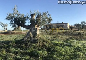 Excepcional moradia em construção com vista panorâmica serra e mar, numa zona tranquila
