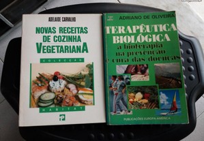 Obras de Carvalho/Adriano de Oliveira e André Rouviere
