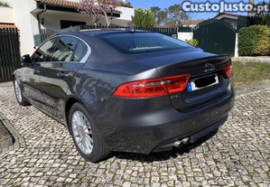 imagem_11