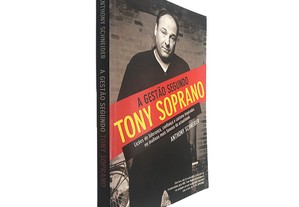 A gestão segundo Tony Soprano - Anthony Schneider