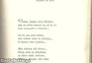 imagem_7
