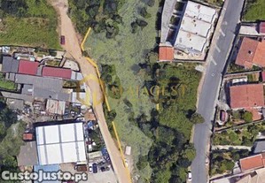 imagem_7