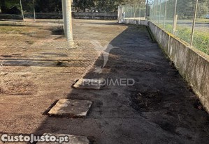 imagem_15