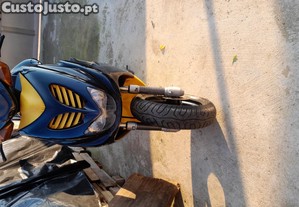imagem_1