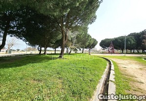 imagem_33