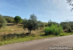 Terreno Agrcola em Colmeias e Memria