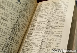 imagem_9