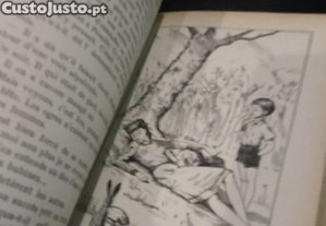 imagem_4
