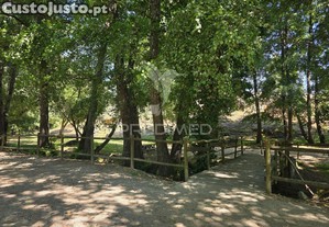 imagem_35