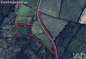Terreno Agrícola em Igreja Nova e Cheleiros