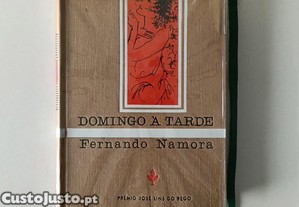 imagem_1