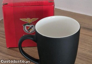 imagem_8